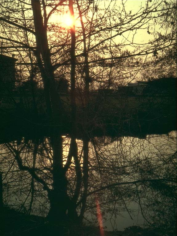 tramonto tra le rogge di Bascapè (10/04/1973)