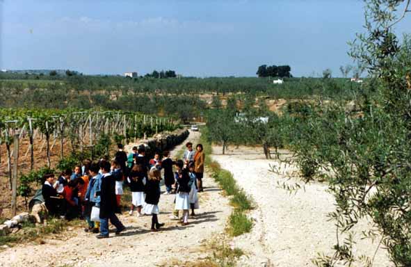 La lama sottostante nell'immagine giunge poco dopo in Andria, da sud, rasenta il centro storico, e se ne allontana, a nord, da Camaggio