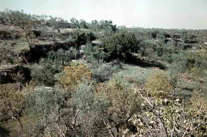 grotte sul lato ovest della lama di S. Margherita